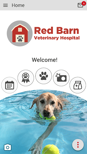 Red Barn Vet Screenshot 0