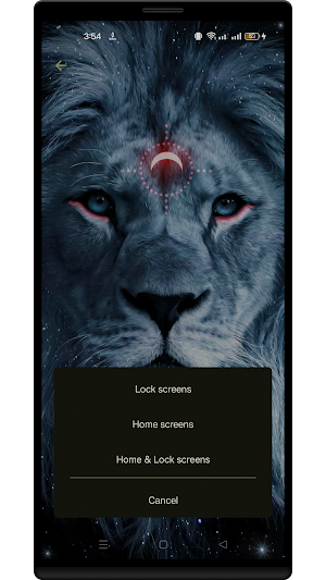 Animal HD Wallpapers Plus Screenshot 3