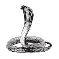 Snakes Conflictan Indo