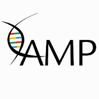 AMP Meetings