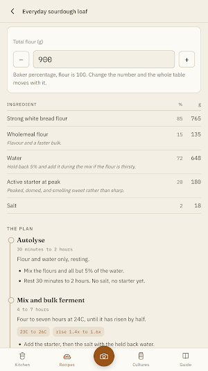 Ferment: Sourdough & Kimchi Screenshot 0