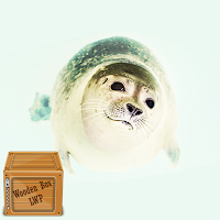 sea lion wallpaper