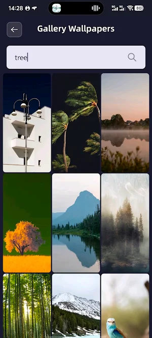 Gallery Wallpapers Screenshot 1