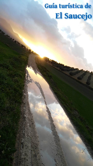 Guía turística de El Saucejo Screenshot 0