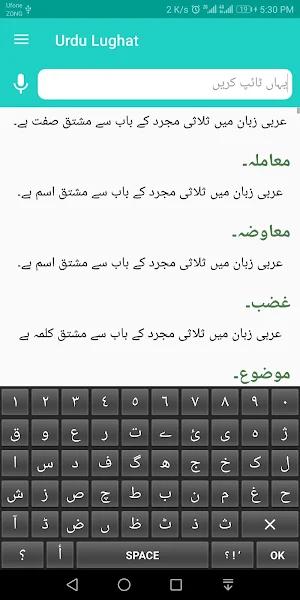 Urdu Lughat Offline - Urdu Dictionary Screenshot 2