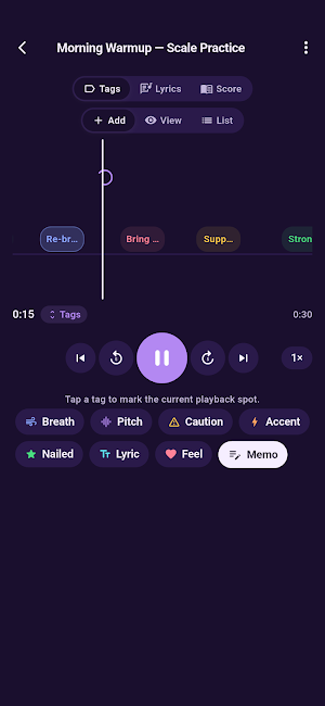 Vocal Recorder - Sing & Notes Screenshot 2