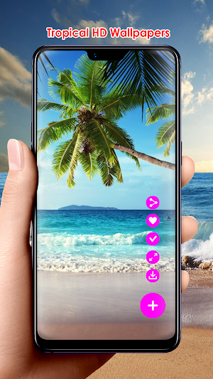 Tropical HD Wallpapers Screenshot 1