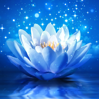lotus wallpaper