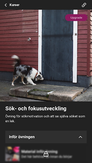 Gava Hund Screenshot 2