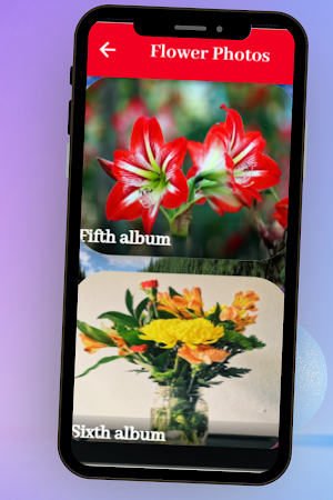Flower Photos Screenshot 1