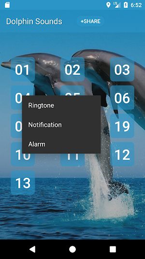 Dolphin (Animal) Sounds Screenshot 1