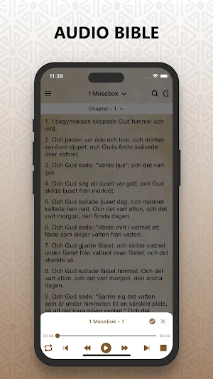 Svenska Bibeln (Swedish Bible) Screenshot 2
