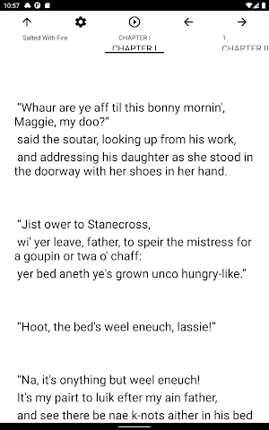 Book, Salted With Fire Screenshot 3