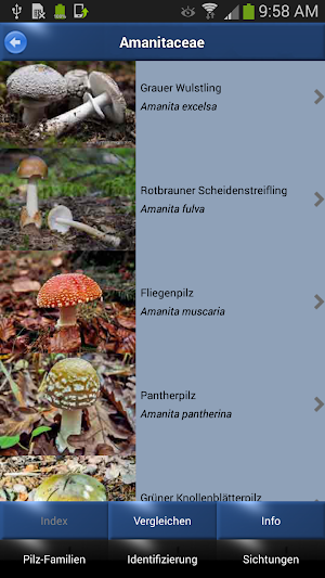 Pilz Id, Die Pilze Sammeln App Screenshot 1