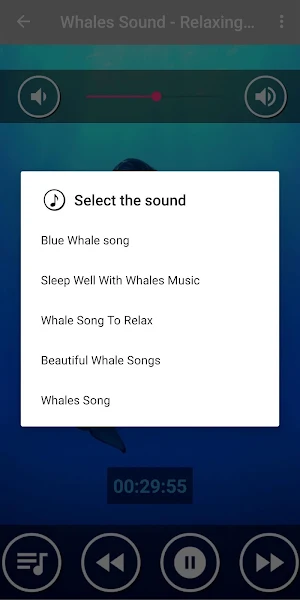 Underwater Whale Sounds for Sleep Screenshot 1