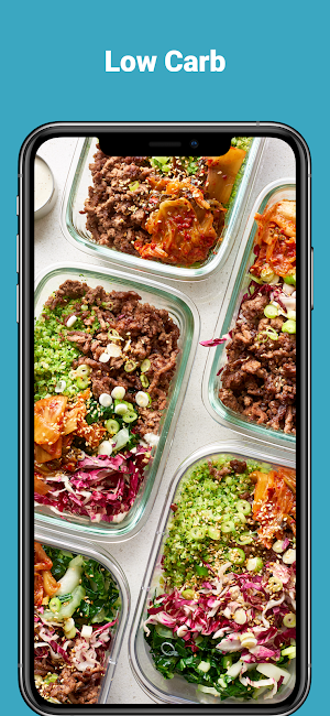 Low Carb Diet Meals Screenshot 0