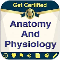 Anatomy And Physiology 2900 Co