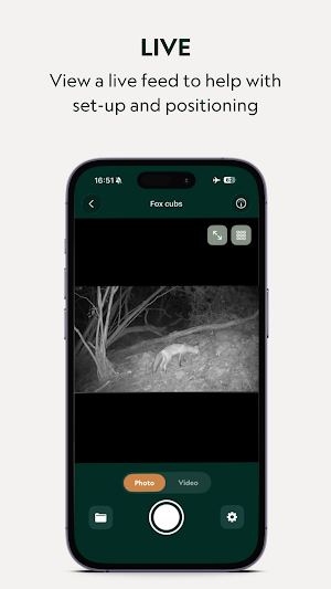Ursidae Screenshot 2