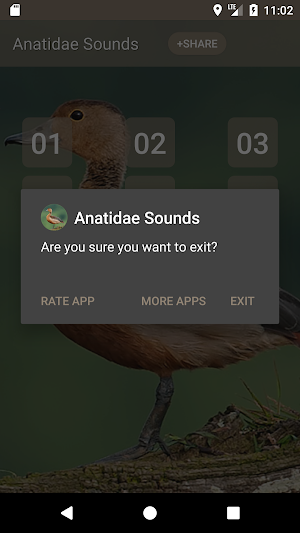 Anatidae Sound Screenshot 2