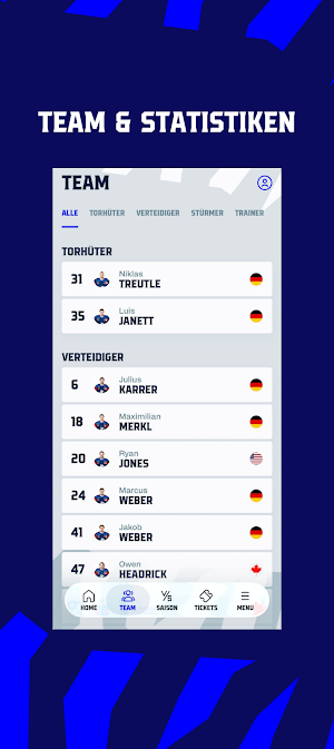 Nürnberg Ice Tigers Screenshot 1