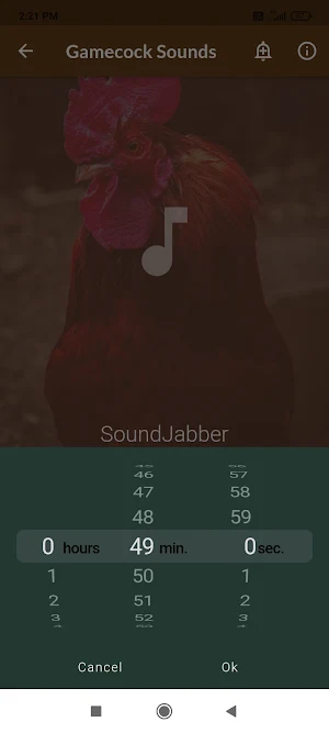 Gamecock Sounds Screenshot 3