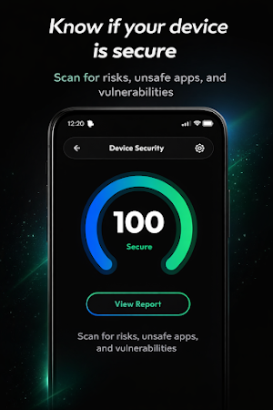 Device Security Audit Screenshot 0