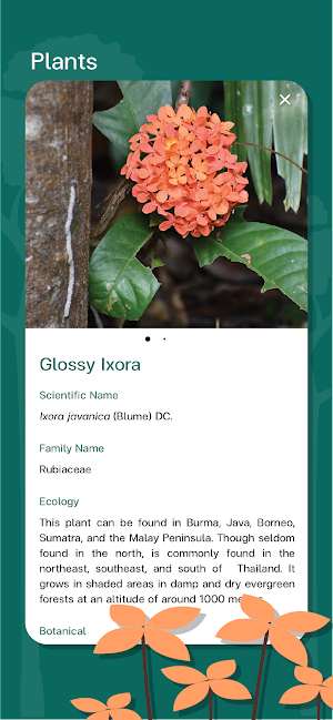 Klong Plakang Trail Screenshot 3