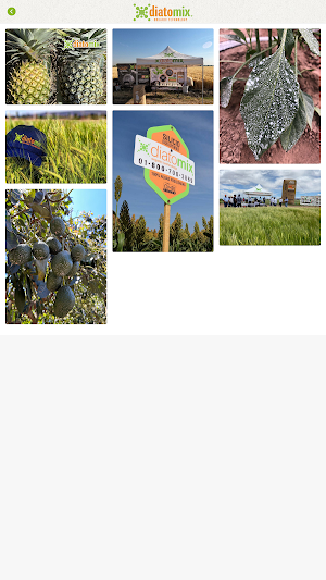 Diatomix Screenshot 3