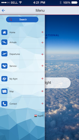 Cairo Airport Screenshot 2