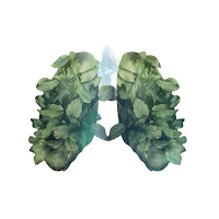 iBreathwork | HFC