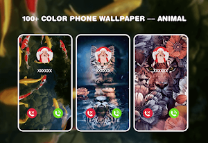 Color Phone - color call flash Screenshot 2