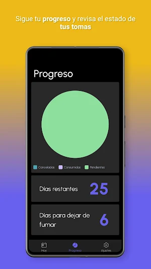 Todaciplan Screenshot 3