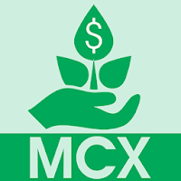 Kashvi MCX