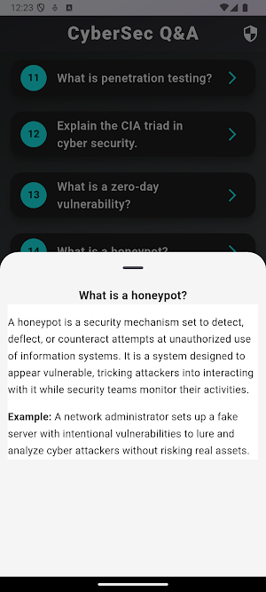 Cyber Security Basics Screenshot 2