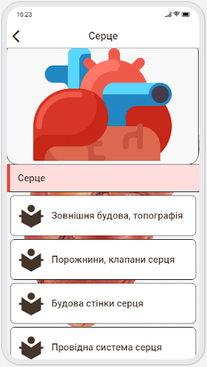 Human Anatomy. Angiology Screenshot 2