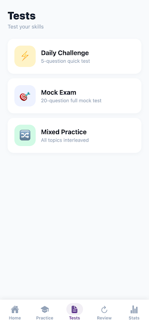 French Grammar Basics Practice Screenshot 2