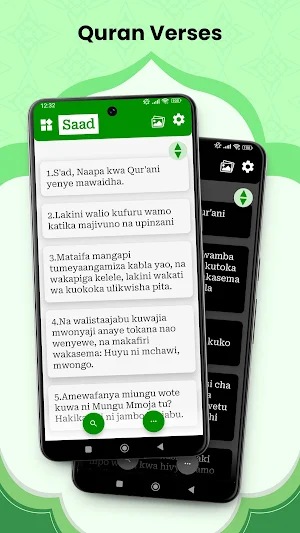 Swahili Quran Screenshot 0