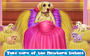 Labrador Quadruplets Caring Screenshot 3
