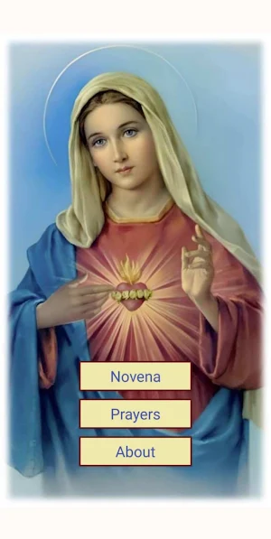 Hearts of Jesus and Mary Screenshot 3