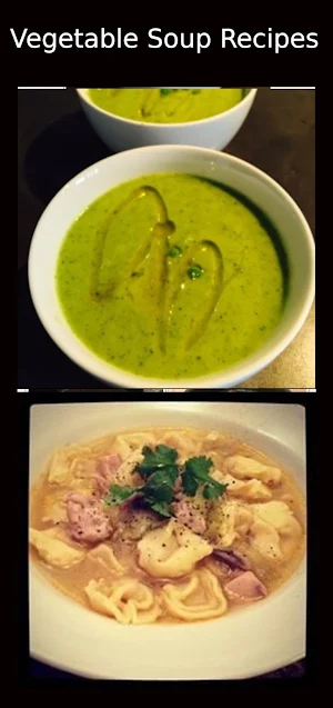 Vegetable Soup Recipes Screenshot 2