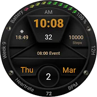 TSD48 Digital Watch Face