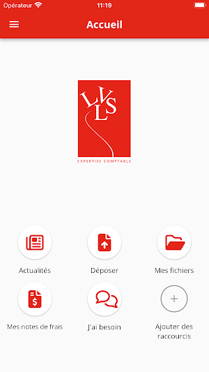 LVLS Expertise Comptable Screenshot 1