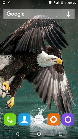 Eagle Wallpapers Hd Screenshot 0