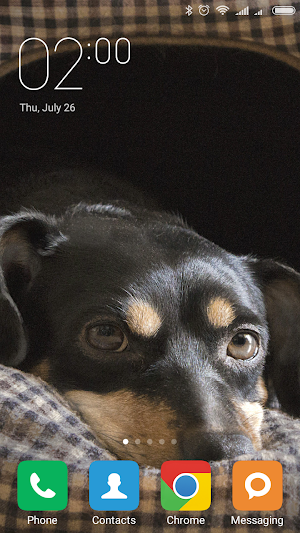 Dachshund Wallpapers Screenshot 0