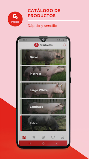 Gepork Screenshot 0