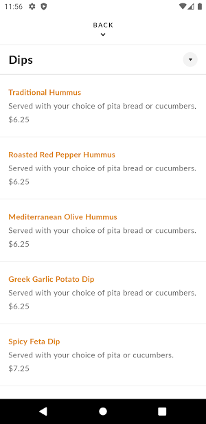 Mr. Gyros Greek Food Screenshot 2
