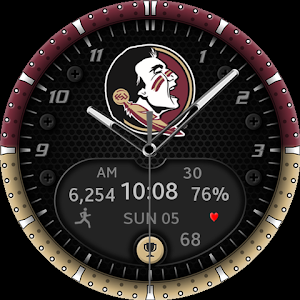 Florida State Premium Screenshot 2