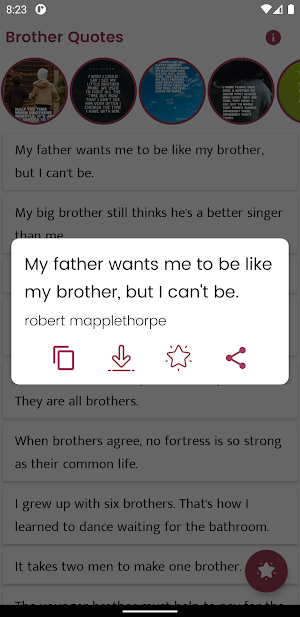Brother Quotes and Sayings Screenshot 0