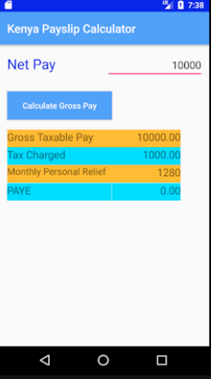 Kenya Payslip Calculator Screenshot 2