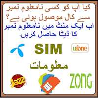 Sim Owner Details